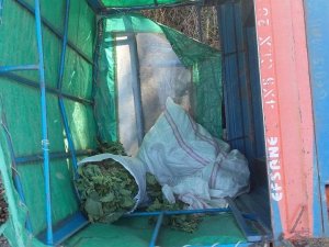 Pat pat kazası 3 yaralı!