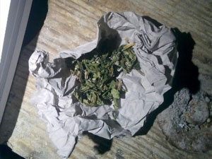 Esrarla yakalanan şüpheli serbest bırakıldı - Samsun Haber