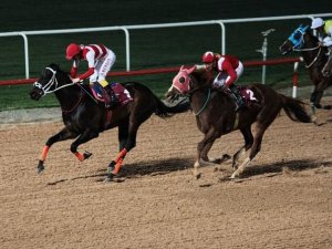 Atlar Özgecan anısına koştu