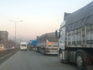 Özel harekat timleri operasyonda