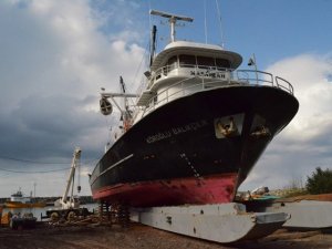 Hamsi avı bitti sıra onda