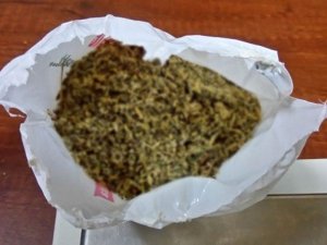 Rize'de bonzai operasyonu!