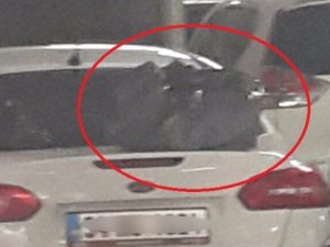 Atatürk Havalimanı’nda şüpheli paket paniği