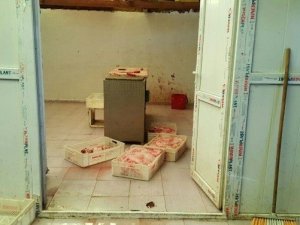 Kaçak et operasyonunda mide bulandıran manzara! Ordu haber