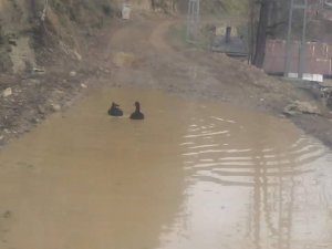 Vatandaştan yöneticilere ince göndermeli soru