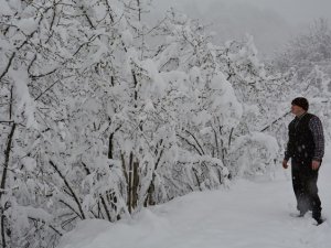 Fındıkta korkutan manzara