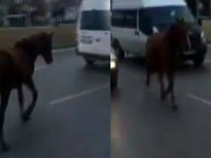 Otoyol hipodroma döndü!