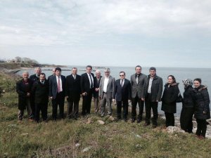 Arsin'e ÇED çıkarması