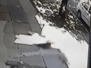 Pitbull yolda yürüyen kadına ve köpeğine aniden saldırdı