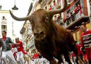 Trabzon'da boğa kaçtı