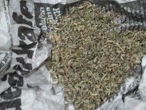 Kuran-ı kerim içinde bonzai yakalandı