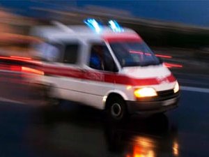 Kesilen ağaç can aldı: 1 ölü 3 yaralı