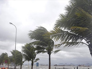 Meteoroloji'den Doğu Karadeniz için önemli uyarı