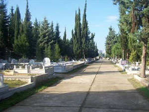 Trabzon'da 2015'te kaç kişi öldü?