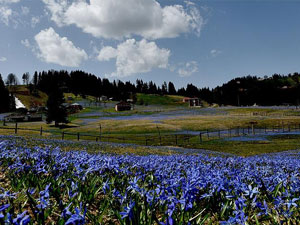 Tonya turizmde ilgi odağı oldu