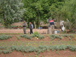 Kilis'e yine roket düştü