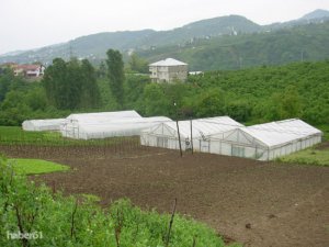 Genç Çiftçilere hibe desteği büyük ilgi görüyor