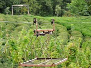 Rize'de hasta babasını ilkel teleferikle taşıyor