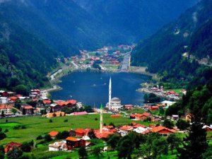 Uzungöl'de şok! Tamamı için hapis...