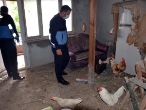 Çöp ev diye gittiler şaşırıp kaldılar