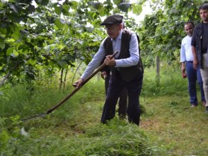 Kılıçdaroğlu tırpan salladı