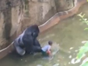 Hayvanat bahçesinde dehşet anları!