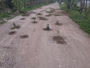 Rize'de gündem olan yolda işlem tamam