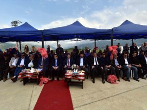 Trabzon'da dağı tıraşlayıp OSB kurdular