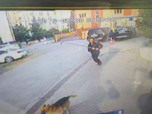Köpeği demir sopa ile dövdü!