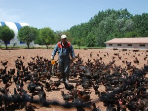Keneden korktu şimdi patron oldu