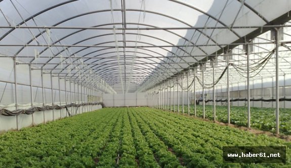 Trabzon'da Üniversite öğrencilerinden örnek tarım projesi