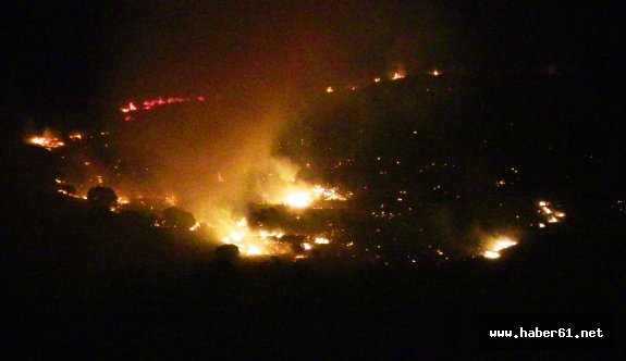 30 hektar alan kül oldu