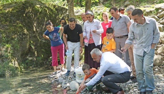 Derelere 30 bin alabalık