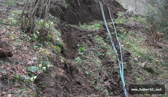 Haluk Pekşen'in soru önergesine Büyükşehir'den cevap