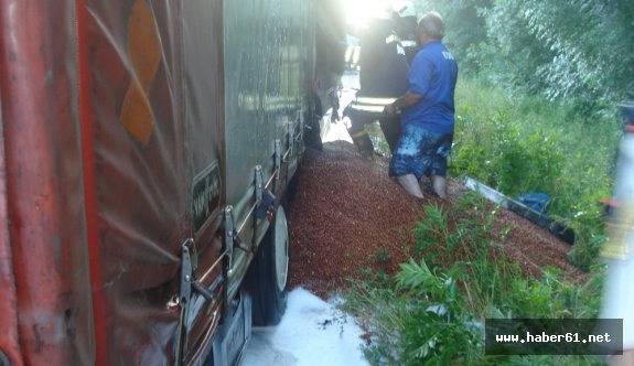 Tonlarca fındık zayi oldu