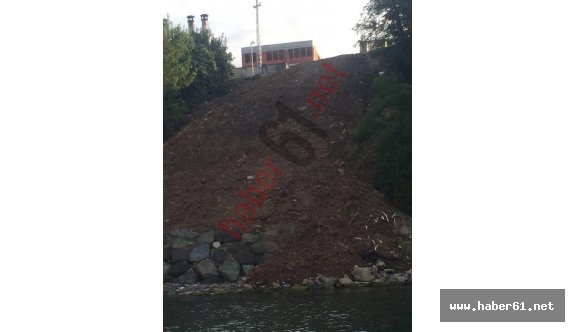 Çöl haftasında toprağı denize DEVİRDİLER