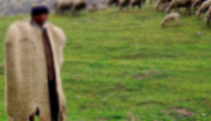 Konya haber: Çobanı cinsel ilişki teklifiyle...