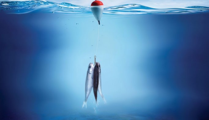 D.Karadeniz bu konuda zirvede