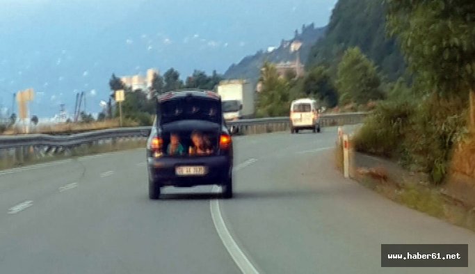 Rize'de herkesi şok eden görüntü!