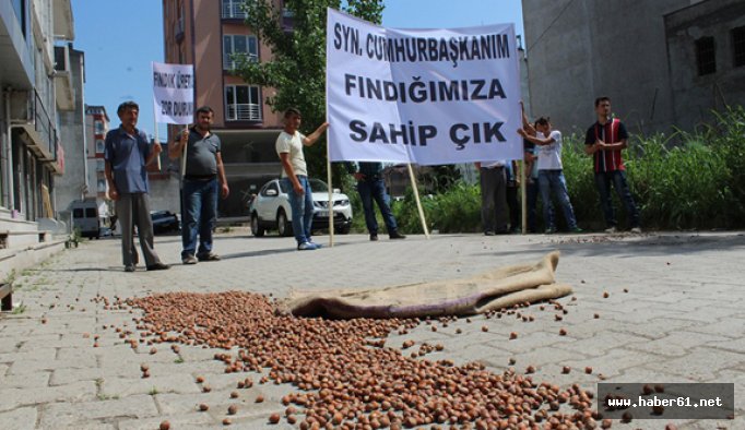 Fındık üreticisi isyan etti