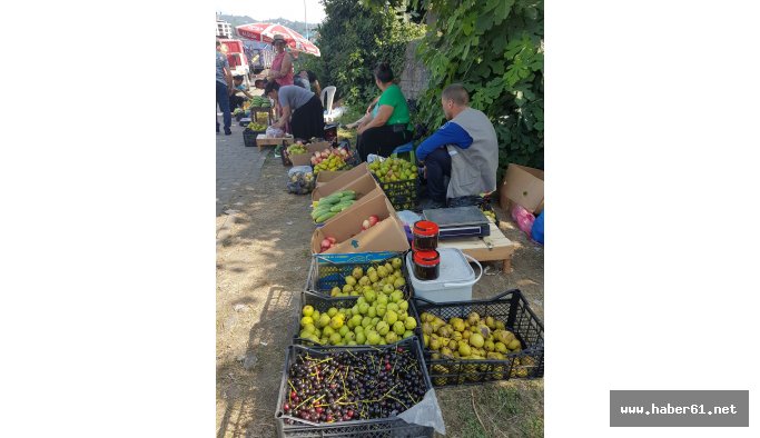 Rize'de bavulun yerini meyve aldı!