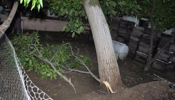 Trabzonlu'nun evine yıldırım düştü