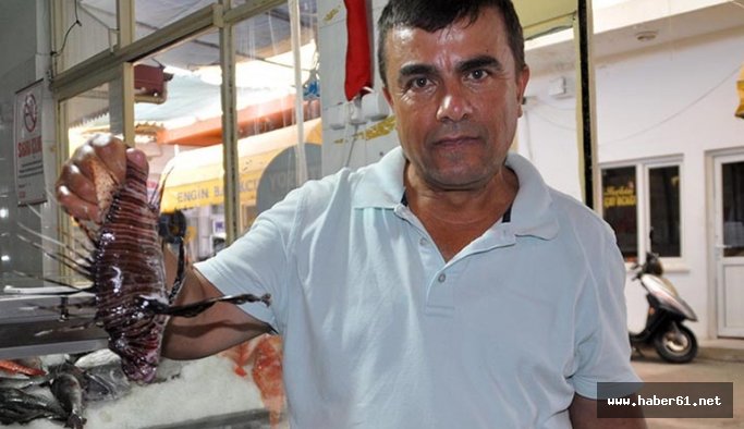 O Balık artık Türkiye'de