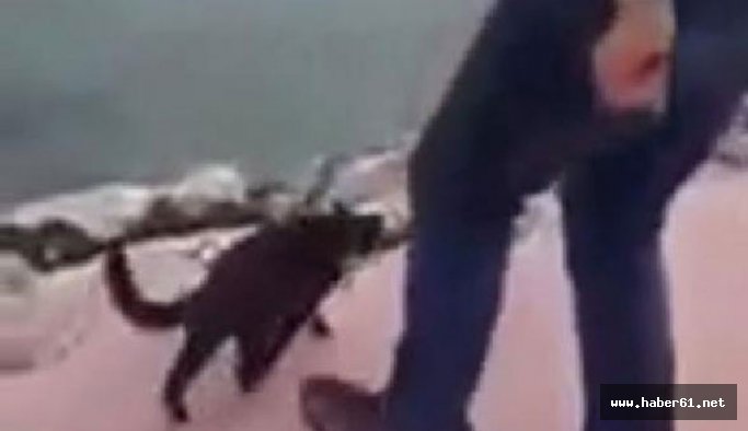 Polis bu caninin peşinde!