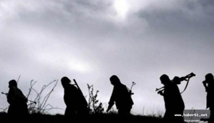 Gümüşhane'de 3 genci ağaca bağlayan PKK'lılar...