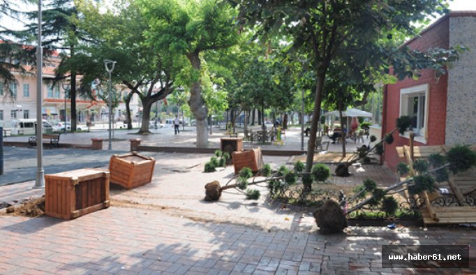 Trabzon'da magandalar iş başında