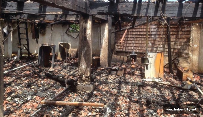 Yangın Tavuk çiftliğini küle çevirdi