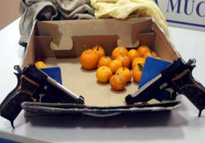 Trabzon'dan kargo ile silah gitti