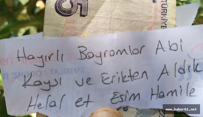 Hamile eşi için aldığı meyvelerin parasını ağaca astı