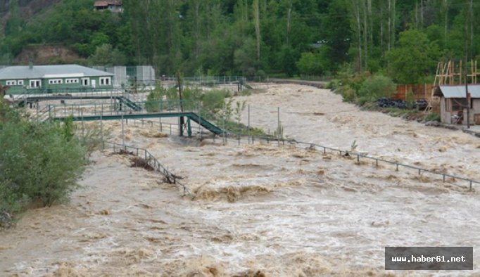 Artvin'de yağmur felç etti